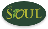 soul-logo